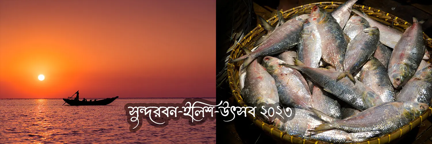 Sundarban Hilsa Festival